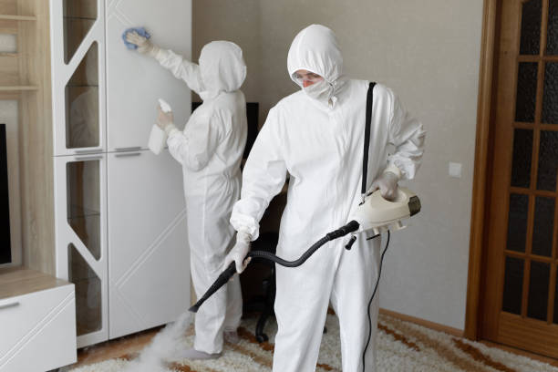 Best Health and Safety Mold Remediation in Bull Run, VA